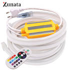 220v rgb luz de néon smd5050 wifi rgb led luz de tira fita flexível à prova dneon água neon sinal corda com 1500w ir controlador ue 2026 - compre barato
