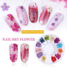 3D Real Dried Flowers Nail Art Sticker Sunflower Daffodil Natural Floral Decals Manicure Nails Dry Flower Decoration Accessories 2024 - buy cheap