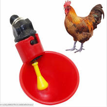 Bebedor alimentador de galinha, aves domésticas, copos automáticos de água, chook, à prova d'água 2024 - compre barato