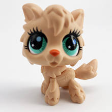Редкий Lps Pet Shop игрушка Халк Капитан Америка спаниель PinkDog черный короткий волос кошка коллекция действий стоя детский подарок 2024 - купить недорого