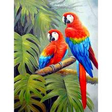 GATYZTORY-pintura por números de loro, lienzo de pintura al óleo pintada a mano, decoración de la pared del hogar, 60x75cm 2024 - compra barato