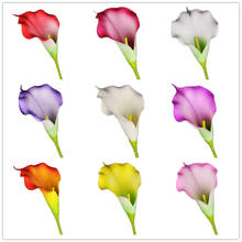 10Pcs Fake Single Stem Calla 29" Simulation Real Touch Callas for Wedding Home Decorative Artificial Flowers 2024 - buy cheap