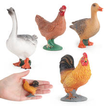 animal model  Action Figure Farm duck Hen Model Figurines Miniature Collection animal model Christmas Gift For Kids toys 2024 - buy cheap