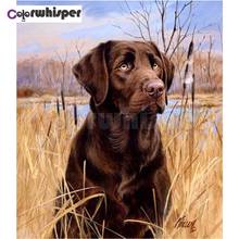 Diamond Painting Full Square/Round Drill 5D Black Dog Daimond Painting Embroidery Cross Stitch Crystal Mosaic Picture Z600 2024 - buy cheap