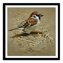 DIY Land birds 5D diamond painting cross stitch needlework diamond  full square home decor diamond embroidery crafts 2024 - buy cheap