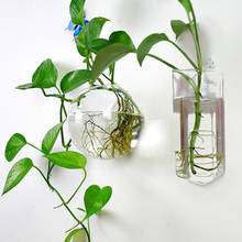 Стеклянная гидропонная настенная ваза Eroupen для цветов, настенное украшение, подвесная ваза для зеленых растений, скандинавский домашний де... 2024 - купить недорого