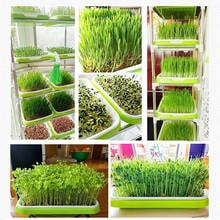 Plastic Seedling Tray Double-layer Bean Sprouts Grow Tray Hydroponic Flower Basket Home Garden Nursery Pots PW 2024 - buy cheap