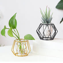 Modern Metal Nordic Golden Glass Vase Hydroponic Plant Flower Plant Holder Terrarium Geometric Iron Line Vase Home Decor 2024 - buy cheap