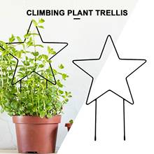 Metal Iron Moon Star  Shaped Garden Plant Support Stake Stand for DIY Potted Climbing Plants Flower Vegetables Vine Rack 2024 - buy cheap
