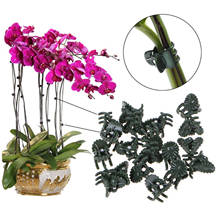 50PCS Plastic Plant Support Clips Orchid Stem Clip for Vine Support Vegetables Flower Tied Bundle Branch Clamping Garden Tool 2024 - buy cheap