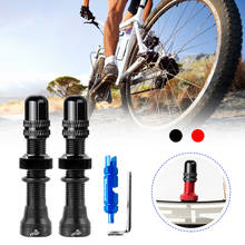 2 pçs bicicleta tubeless schrader mamilo a/v válvulas núcleo de bronze usinado anodizado para mtb road bike tubeless jantes acessórios da bicicleta 2024 - compre barato