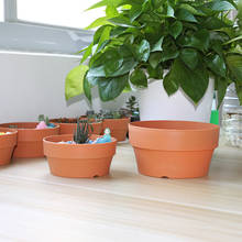 Mini maceta de plástico para flores de cactus, suculenta para guardería, accesorios para el hogar y el jardín, LXY9 2024 - compra barato