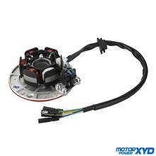 YX150 YX160 Magneto Stator Ignition Coil With Light YINXIANG YX 150cc 160cc KAYO BSE SSR GPX Pitsterpro Dirt Pit Bike Parts 2024 - buy cheap