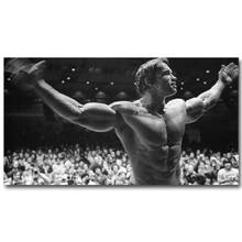 062 ARNOLD SCHWARZENEGGER - Bodybuilding 114 Wall Silk Cloth Poster Art Decoration Gift 2024 - buy cheap