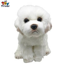 Cute Malta Dog Puppy Maltese Plush Toys Stuffed Animals Doll Baby Kids Children Boys Girls Adults Gift Home Decorations Crafts 2024 - buy cheap