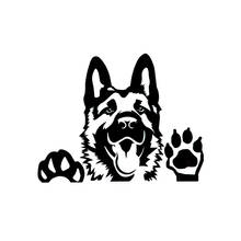 Lifelike German Shepherd Dog  Car Sticker Cover Scratches Waterproof Bumper Window  KK Vinyl Pvc 15.6X12.3CM 2024 - buy cheap