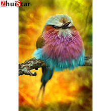 DIY 5D Diamond Painting Bird-tree branch Art Kits Full Drill Square Home Decoration Embroidery Picture WHH 2024 - buy cheap