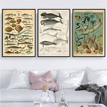 Ocean Sea Shell Fish Animal Canvas Painting Posters And Prints Wall Art Picture Vintage Life Chart Biology Decoration Home Decor 2024 - buy cheap