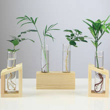Vaso de flores hidropônico nórdico, vaso transparente para plantas, vaso de vidro para mesa, decoração da casa, pequeno, ornamento de flores frescas 2024 - compre barato