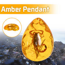 Natural Scorpions Insect Inclusion Amber Baltic Gemstone Pendant Necklace Sweater Decorations DIY Ornament Craft Gift 2024 - buy cheap