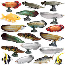 Oenux-figuras de acción de animales de la vida marina, juguete educativo realista, coelacanto, piraña, lubina, pez, salmón 2024 - compra barato