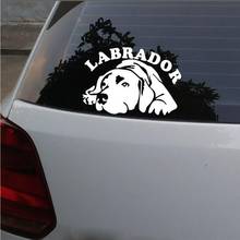 Calcomanías reflectantes para ventana de coche, calcomanías decorativas de perro Labrador, KK10 x 10cm 2024 - compra barato