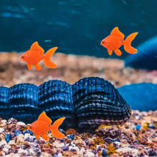 10 PCS Artificial Goldfish Realistic Floating Artificial Gold Fish Tropical Fish Model for Aquarium Fish Tank Decoration 2024 - buy cheap