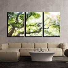 Wall Art Living Room Painting 3 Pieces Green Big Tree with Sunshine Pictures Modular Canvas Prints Scenery Poster Home Decor 2024 - buy cheap