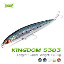 Kingdom Pencil Fishing Lure 17g 30g  Fishing Wobblers Sinking Lipless Swimbait For Perch Carp Pike Trout  Trolling  Jerkbait 2024 - buy cheap