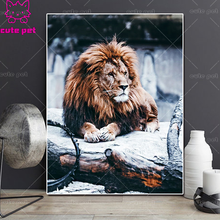 DIY Алмазная картина животное лев полный квадрат дрель 5D Daimond картина вышивка-мозаика стразами украшение для украшения салона 2024 - купить недорого