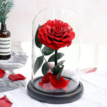 Rosa eterna en cúpula de cristal, rosa de La Bella y La Bestia, regalos románticos para el Día de San Valentín, regalo de Navidad, Ho 2024 - compra barato
