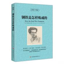The How The Steel Was Tempered всемирно известная художественная книга, двуязычная книга на китайском и английском языках 2024 - купить недорого