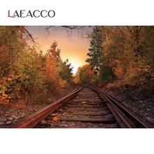 Laeacco Dawn Railway Track Forest Trees Scenic Photocall Background For Photography Photozone Photo Backdrop For Photo Studio 2024 - buy cheap