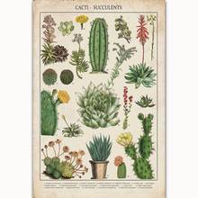 Cacti & Succulents Canvas Painting Modern Wall Art Picture Cuadros Posters and Prints Painting for Living Room Home Decor 2024 - buy cheap