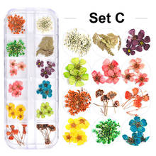 Caja de flores secas naturales 3D para decoración de uñas, diseños de hojas de girasol y Margarita, decoraciones de uñas para manicura, 1 caja 2024 - compra barato