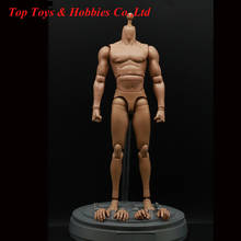 Figura de acción desnuda a escala 1:6, cuerpo de hombre joven, soldado, modelo de juguetes para 12 ", accesorios para muñecas 2024 - compra barato