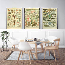 Винтажный Адольф миллот, плакат и принты морской жизни, настенное искусство, картина с рыбами, французская иллюстрация, Картина на холсте для домашнего декора 2024 - купить недорого