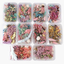 1 Box Real Dried Flower Dry Plants For Aromatherapy Candle Epoxy Resin Pendant Necklace Jewelry Making Craft DIY Accessories 2024 - buy cheap