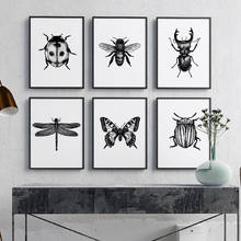 Ilustración de insectos en blanco y negro, arte de pared, pintura en lienzo, mariposa, abeja, carteles e impresiones, imágenes de pared, decoración del hogar 2024 - compra barato