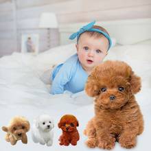 Realistic Teddy Dog Lucky Simulation Dog Poodle Plush Toys Handmade Realistic Figure Toy Dog Plush Stuffed Anim Toys For Kids 2024 - buy cheap