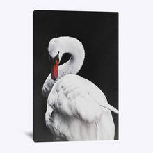 Wall Art Minimalist Canvas Posters White Swan Home Decoration Animal Modular Nordic Painting HD Printed For Living Room Pictures 2024 - buy cheap