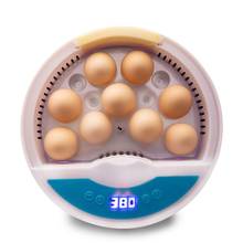 Куриный автоматический инкубатор для яиц перепелиное куриное яйцо умный инкубатор домашний инкубатор для яиц утки инкубатор для яиц птицы инкубатор 2024 - купить недорого
