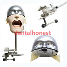 Stainless steel head model NISSIN Dental manikins and models Phantom Head Dental teaching model 2024 - buy cheap