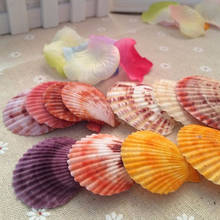 20pcs Colorful Seashells Decoration Natural Scallop Shells Crafts Decor DIY Ornament for Aquarium Home Decor 3.5-5.5cm 2024 - buy cheap