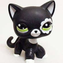 LPS Pet Shop представляет игрушки короткошерстная кошка, большой немецкий дог, куклы, фигурки, модель, высококачественные игрушки, подарки, игрушка для косплея, игрушки для девочек 2024 - купить недорого