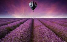 Campos de lavanda balão arte filme impressão cartaz de seda decoração de parede para casa 24x36inch 2024 - compre barato