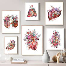 Pegatina autoadhesiva de pared, arte de anatomía, médico, Floral, órganos, Corazón, Pulmón, póster, educación de estudiantes, imagen de Hospital, decoración 2024 - compra barato