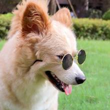 Óculos de sol fashion divertido 8 cores, óculos fofos para cosplay e professor de gato e cachorro 2024 - compre barato