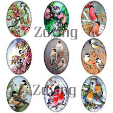 Zdying 10pcs Lovely Little Bird Animal Oval Glass Photo Cabochons Beads Dome DIY Necklace Brooch Jewelry Making Findings 2024 - compre barato