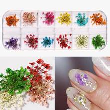 3D Mix Dried Flowers Nail Art Decoration Real Natural Floral Sticker Designs Dry Flower Decals DIY Manicure Nails Accessories 2024 - buy cheap